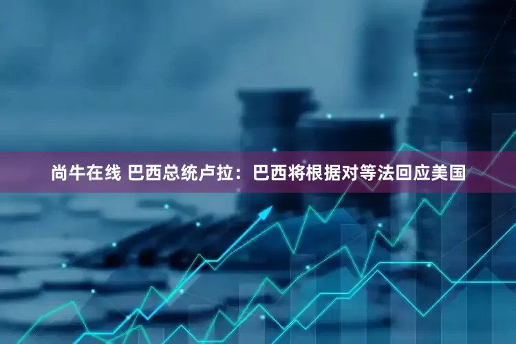 尚牛在线 巴西总统卢拉：巴西将根据对等法回应美国