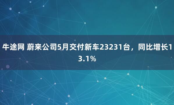 牛途网 蔚来公司5月交付新车23231台，同比增长13.1%